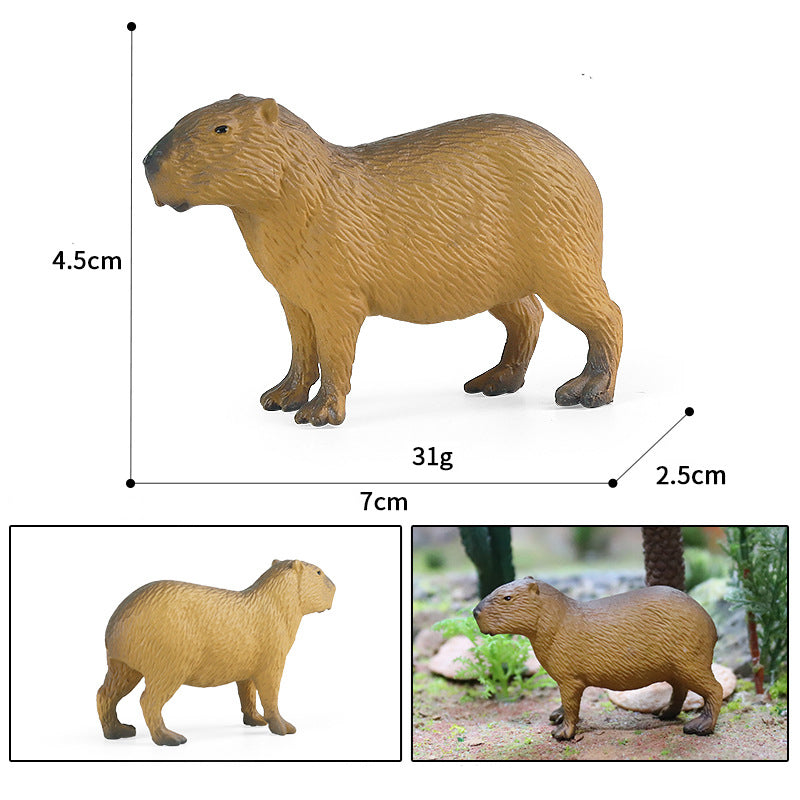 Capybara (Medium)