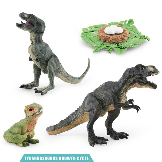 Tyrannosaurus rex growth cycle model (Medium/Large)