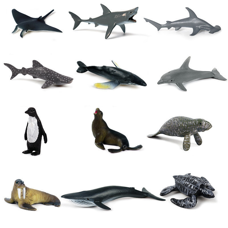 Sea Animals 12 small/medium.